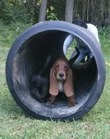 processed/04f19224-96cc-48f2-950b-28c80821788f/facility/dbb3e6eb-df1a-462f-bfd0-aca8a8ce993d