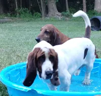 processed/04f19224-96cc-48f2-950b-28c80821788f/facility/e5f43f39-e214-41f9-9613-2a5b815070db