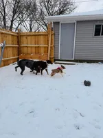 processed/04f22b6b-d81b-4958-8bdd-6904e1ab65c6/listing/0c2d69ca-f834-425c-a315-bbc98afcb911/379784cc-070e-49e8-a643-bdb7c248aed5