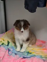 processed/04f22b6b-d81b-4958-8bdd-6904e1ab65c6/listing/0c2d69ca-f834-425c-a315-bbc98afcb911/51890e17-c10b-4337-accd-d01464020a6c