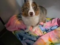 processed/04f22b6b-d81b-4958-8bdd-6904e1ab65c6/listing/0c2d69ca-f834-425c-a315-bbc98afcb911/6652df3c-bd0c-4105-9149-1e928763f5e4