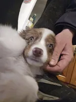 processed/04f22b6b-d81b-4958-8bdd-6904e1ab65c6/listing/0c2d69ca-f834-425c-a315-bbc98afcb911/70597fef-81e0-45b2-b991-2e12d0b80518