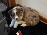 processed/04f22b6b-d81b-4958-8bdd-6904e1ab65c6/listing/0c2d69ca-f834-425c-a315-bbc98afcb911/8b663847-1333-462b-afdc-2a50da2aaea5