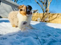 processed/04f22b6b-d81b-4958-8bdd-6904e1ab65c6/listing/0c2d69ca-f834-425c-a315-bbc98afcb911/cb60dfe1-dabe-4d27-ada2-f59daaf2aab5