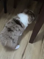 processed/04f22b6b-d81b-4958-8bdd-6904e1ab65c6/listing/0c2d69ca-f834-425c-a315-bbc98afcb911/d3ffdb99-9f16-4691-9ad9-9ab8cdf55910