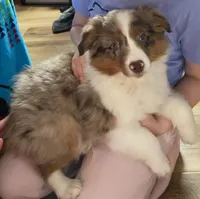 processed/04f22b6b-d81b-4958-8bdd-6904e1ab65c6/listing/0c2d69ca-f834-425c-a315-bbc98afcb911/fb286b8d-5eb2-4ffe-91c9-9553d2518309