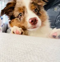 processed/04f22b6b-d81b-4958-8bdd-6904e1ab65c6/listing/0c2d69ca-f834-425c-a315-bbc98afcb911/fd850f1f-ddce-4eb5-a880-4409de2a47a2