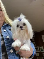 processed/04f4a88f-1848-407f-9db1-5a81b99600bb/facility/12a42f37-3786-4c63-8f8c-d92ebc86737d