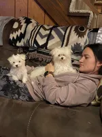 processed/04f4a88f-1848-407f-9db1-5a81b99600bb/facility/771d0835-2bde-4329-984c-c31b222f01d7