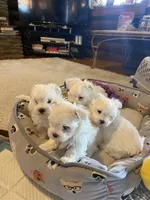 processed/04f4a88f-1848-407f-9db1-5a81b99600bb/facility/a8e84734-47f8-4160-9dae-ed96802813ad