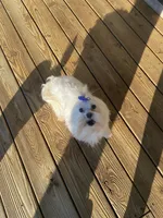 processed/04f4a88f-1848-407f-9db1-5a81b99600bb/facility/ba67c5da-9906-4a5f-94e7-4ac39cfabb16