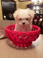 processed/04f4a88f-1848-407f-9db1-5a81b99600bb/listing/09bcd613-2c20-4a61-a30b-a0c61a894557/df24f473-4c84-47dd-8c55-e353cdcef7b5