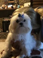 processed/04f4a88f-1848-407f-9db1-5a81b99600bb/listing/09bcd613-2c20-4a61-a30b-a0c61a894557/fcc553a3-c2f9-4e95-bd58-2c8245ca5b36