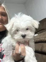 processed/04f4a88f-1848-407f-9db1-5a81b99600bb/listing/6e8d1792-fcb9-4863-bfe1-59e26c62ff86/da43a464-a8c6-428f-a70d-9e45fbe7232c