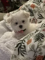 processed/04f4a88f-1848-407f-9db1-5a81b99600bb/listing/6e8d1792-fcb9-4863-bfe1-59e26c62ff86/e361ac59-9155-4f66-b44c-de6ae6c50286