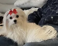 processed/04f4a88f-1848-407f-9db1-5a81b99600bb/listing/86421f26-b93e-478b-93de-afc646f95632/c33b9381-9f3e-4ae4-94cc-34fdd84587eb