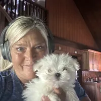 Casanova's Korean BO, a  Maltese for sale in Pekin, IN – 3 of 3