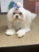 processed/04f4a88f-1848-407f-9db1-5a81b99600bb/listing/c91d43d0-17a0-440a-b14a-4e10a2244f23/42638a2e-bdee-4b9e-aa31-889733abb511