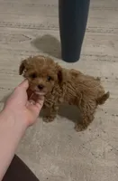 processed/04f4a88f-1848-407f-9db1-5a81b99600bb/listing/fa879ec9-011a-4dff-8535-5881eefd2d4b/bc6f7b5d-895f-4117-9036-ad3900ecdf25