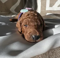 processed/04faff94-adae-451b-a8c4-1b657be16fca/listing/0c27782c-501e-4949-9a51-2f310a689b66/3eb08672-d3e9-4260-946f-16b5e22d6b39