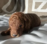 processed/04faff94-adae-451b-a8c4-1b657be16fca/listing/0c27782c-501e-4949-9a51-2f310a689b66/7d32492a-a333-481d-989b-90ea968da131