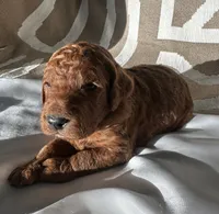 processed/04faff94-adae-451b-a8c4-1b657be16fca/listing/0c27782c-501e-4949-9a51-2f310a689b66/9d48a26d-f4a2-4165-ac18-cca6ef8b9839