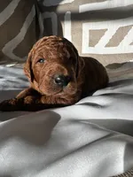 processed/04faff94-adae-451b-a8c4-1b657be16fca/listing/0c27782c-501e-4949-9a51-2f310a689b66/b37fb9f3-0b9b-4389-90a9-e317b5ee6639