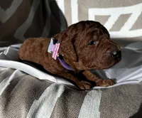 processed/04faff94-adae-451b-a8c4-1b657be16fca/listing/0c27782c-501e-4949-9a51-2f310a689b66/e5863c4d-d8e0-49da-93d2-9c2c415be6b5