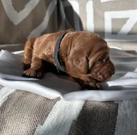 processed/04faff94-adae-451b-a8c4-1b657be16fca/listing/ba77cf5d-7d45-4a28-8f87-08561b6d0677/0a794b03-2a86-4a26-86e6-cfa9391ade16