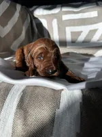 processed/04faff94-adae-451b-a8c4-1b657be16fca/listing/ba77cf5d-7d45-4a28-8f87-08561b6d0677/960d1b5b-d1da-4cfa-aae2-375d1e9f0423