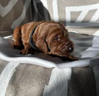 processed/04faff94-adae-451b-a8c4-1b657be16fca/listing/ba77cf5d-7d45-4a28-8f87-08561b6d0677/a666121f-5745-4735-a12c-800e5032b24e