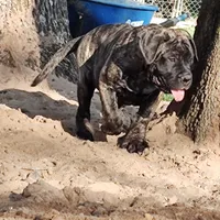 processed/0503c0e5-c708-4a83-b878-84e1965bd085/facility/20c4505d-58dc-4e76-ac90-c4524b9daba7