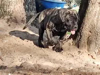 processed/0503c0e5-c708-4a83-b878-84e1965bd085/facility/20c4505d-58dc-4e76-ac90-c4524b9daba7