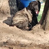 processed/0503c0e5-c708-4a83-b878-84e1965bd085/facility/8e02cafc-5581-455e-87aa-a23d7b68940f