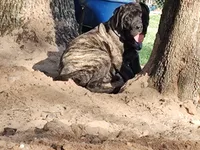 processed/0503c0e5-c708-4a83-b878-84e1965bd085/facility/8e02cafc-5581-455e-87aa-a23d7b68940f