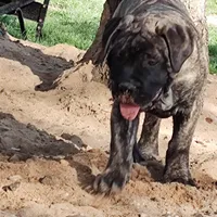 processed/0503c0e5-c708-4a83-b878-84e1965bd085/facility/daf64d74-b526-4440-b54e-1a8c21ff8b2c