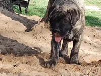 processed/0503c0e5-c708-4a83-b878-84e1965bd085/facility/daf64d74-b526-4440-b54e-1a8c21ff8b2c