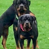 processed/050ac941-b209-487f-a158-cc51c4f40042/facility/3ac88be9-a3d9-467a-a651-a5c98d85f3de