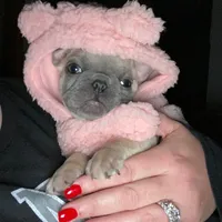 processed/050ac941-b209-487f-a158-cc51c4f40042/facility/722dc313-5ed0-48d1-bce1-3f7864700519