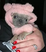 processed/050ac941-b209-487f-a158-cc51c4f40042/facility/722dc313-5ed0-48d1-bce1-3f7864700519