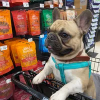 processed/050ac941-b209-487f-a158-cc51c4f40042/facility/7777271d-367c-4c5f-a7a7-9f262cbe0220