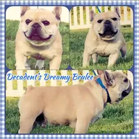 processed/050ac941-b209-487f-a158-cc51c4f40042/facility/7b79870f-6fdf-4489-83f6-407ef92f60ae