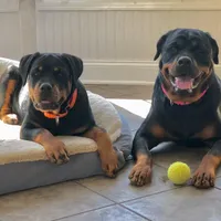 processed/050ac941-b209-487f-a158-cc51c4f40042/facility/a5269553-be4e-4287-989c-8b302f33379d