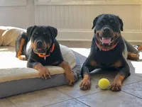 processed/050ac941-b209-487f-a158-cc51c4f40042/facility/a5269553-be4e-4287-989c-8b302f33379d