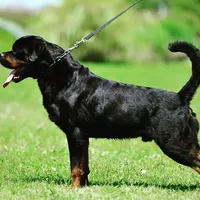 processed/050ac941-b209-487f-a158-cc51c4f40042/facility/ccb47f54-38b0-44c7-ace0-959f96ada43e