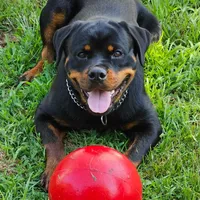 processed/050ac941-b209-487f-a158-cc51c4f40042/facility/fc1ffb43-bdbe-4d97-9ffa-ebba1ba3219a