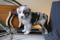 processed/0513d82a-77b9-4b1a-9752-1ff5aca8044c/facility/05fb4f94-e4d2-4c6f-8aef-0f7c3f3a767e