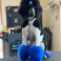 processed/05177ba3-fc76-40b7-b216-c96fab82fbb3/facility/02a5e3e7-0ccf-4bd8-a504-d8f42b35a6c7