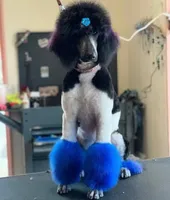 processed/05177ba3-fc76-40b7-b216-c96fab82fbb3/facility/02a5e3e7-0ccf-4bd8-a504-d8f42b35a6c7