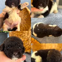 processed/05177ba3-fc76-40b7-b216-c96fab82fbb3/facility/283a3b11-b83c-40a4-b9e8-a0fde5eb676f